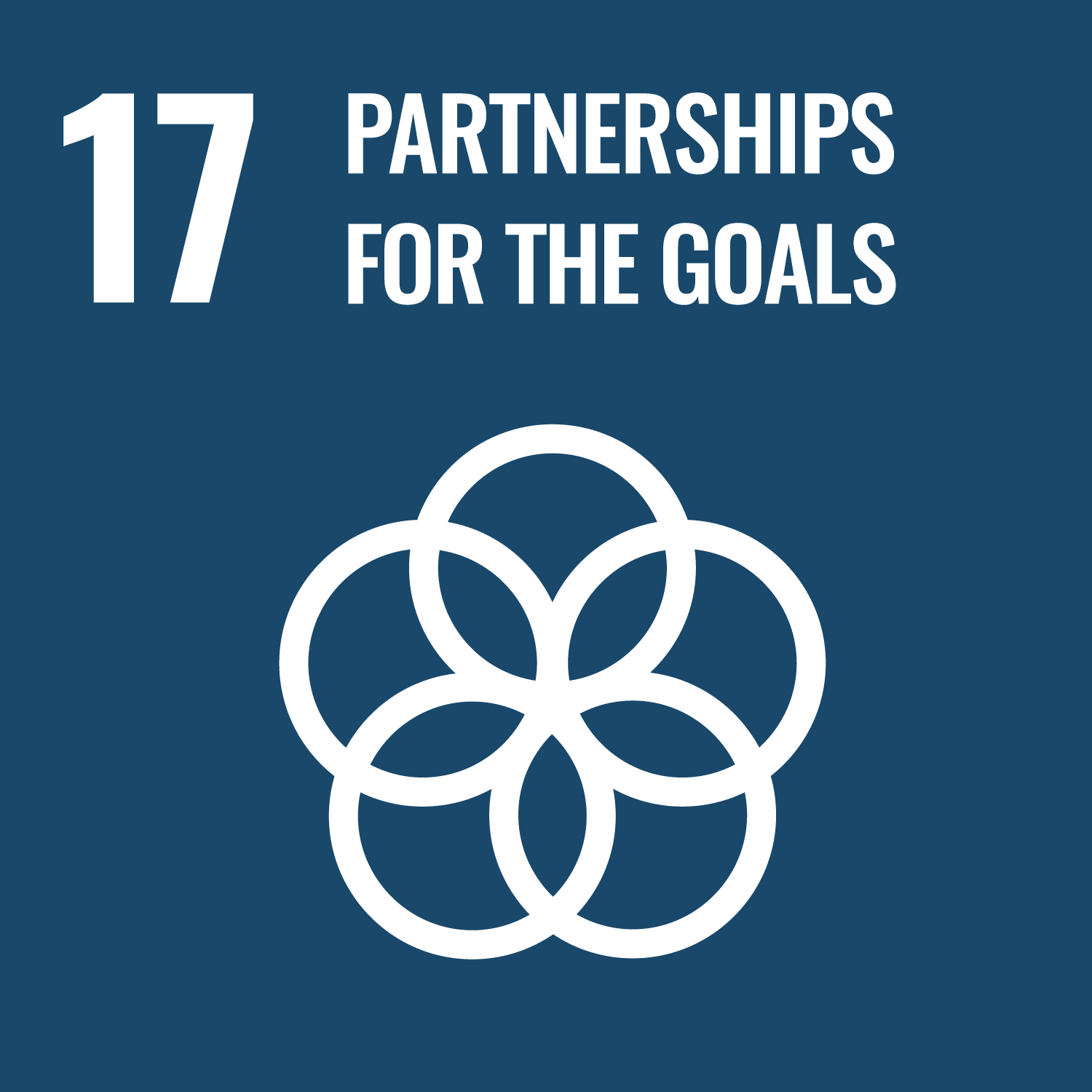 Partnerships for the Goals icon