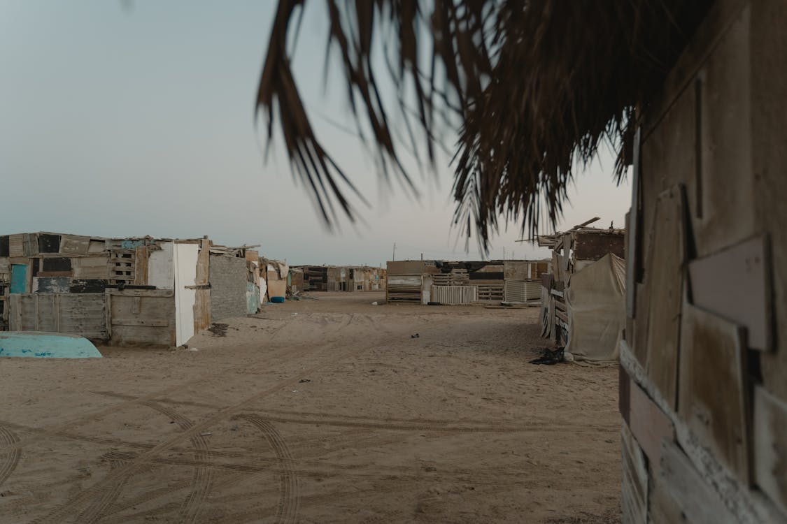 No Poverty background