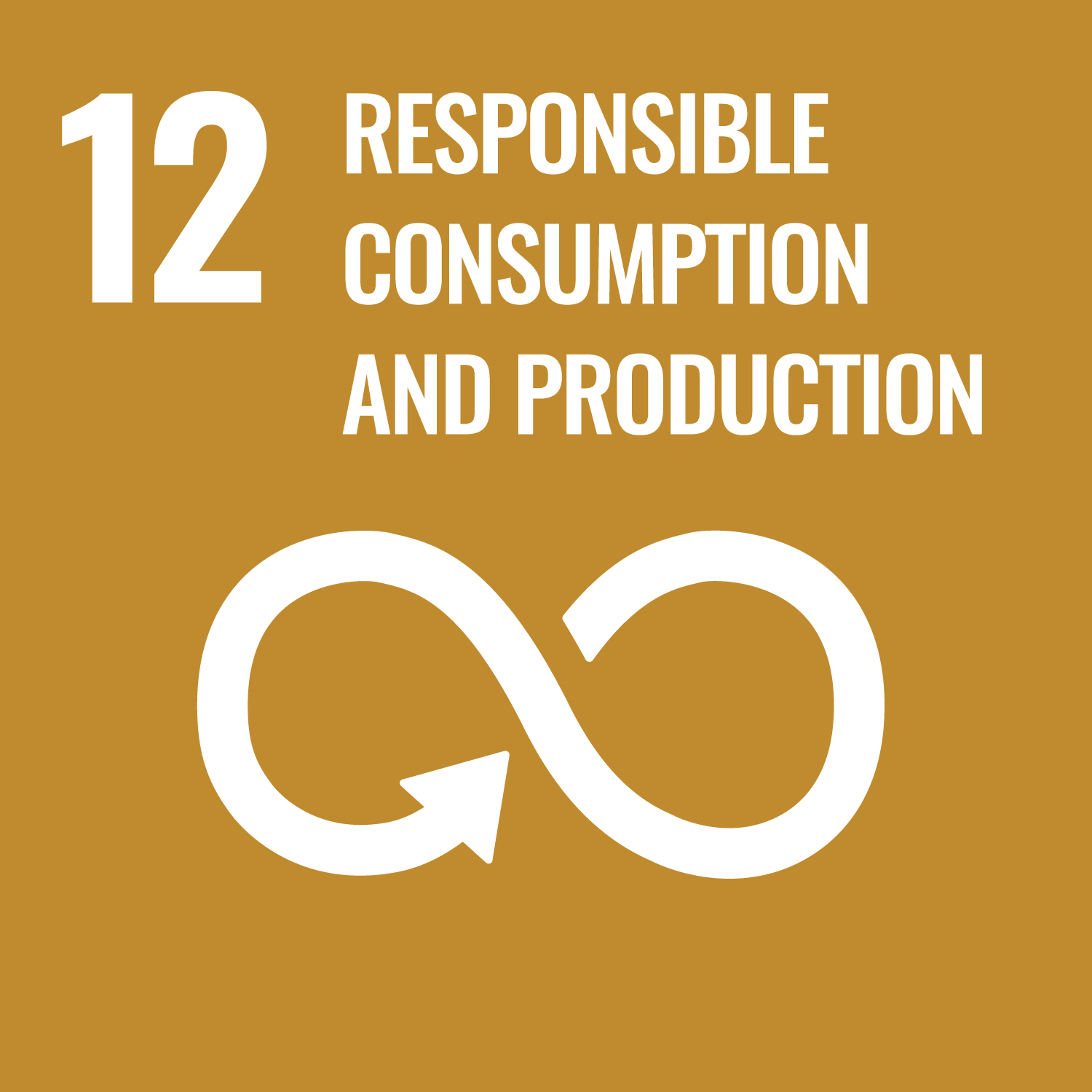 Responsible Consumption and Production icon