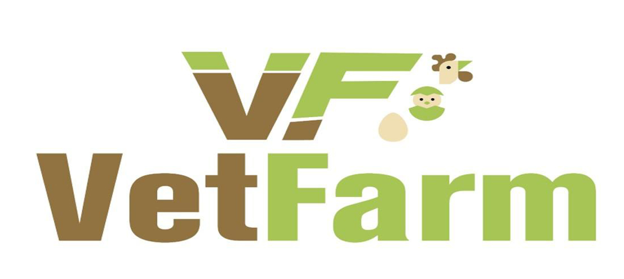 𝐓𝐡𝐢𝐧𝐤 𝐋𝐨𝐜𝐚𝐥, 𝐄𝐚𝐭 𝐒𝐮𝐬𝐭𝐚𝐢𝐧𝐚𝐛𝐥𝐞: 𝐀𝐝𝐯𝐚𝐧𝐜𝐢𝐧𝐠 𝐑𝐞𝐬𝐩𝐨𝐧𝐬𝐢𝐛𝐥𝐞 𝐅𝐨𝐨𝐝 𝐏𝐫𝐨𝐜𝐮𝐫𝐞𝐦𝐞𝐧𝐭 13