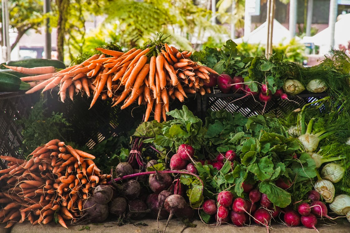 Zero Hunger background